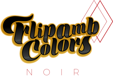 FlipambColors Noir logo